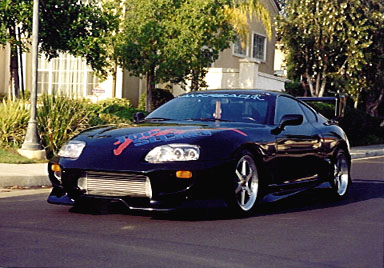 JSupra3.jpg (52038 bytes)