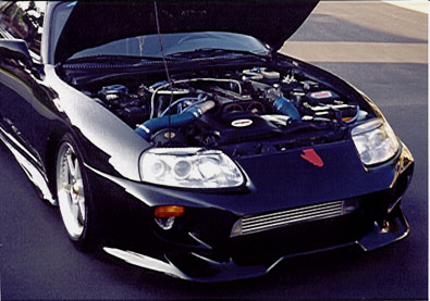 JSupra4.jpg (42779 bytes)